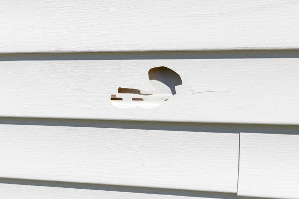 Best Residential Vinyl Siding Installation  in El Centro, CA